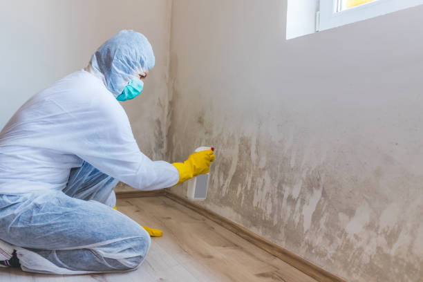 Commercial Mold Remediation assessment for commercial property in Strasburg